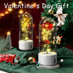 2-in-1 Rose LED Speaker